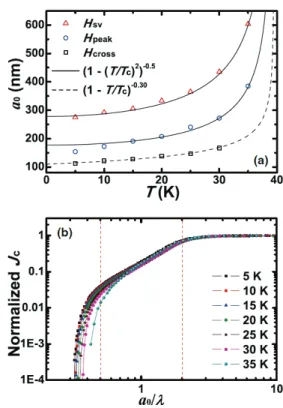 Fig. 6 shows normalized critical current densities at 0, 10,  29, 50, 100, and 200 mT as a function of temperature for  single-crystalline MgB 2   thin  films
