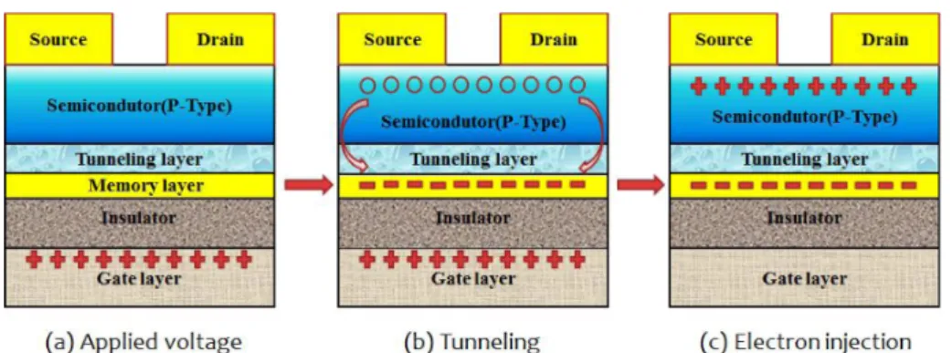 Figure 3. Operation principle of floating gate  or-ganic memory.  이터가 저장되는 현상을 말한다. 이렇게 일정 크기 이상의  programing 전압을 인가하면 반도체 층의 전자가 터널링 층을 통과하여 Au 박막에 저장되는데 저장된 전자는 터널 링층의 높은 절연특성으로 인해 다시 반도체 층으로 돌아 가지 못하고 programing 전압이 제거되어도 전자가 저장 된 상태가 유지된다