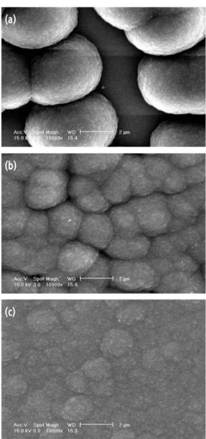 Figure 3. Cross-sectional SEM images of As doped 5%