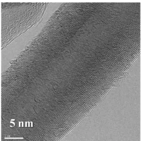 Figure 3. Transmission electron microscopy image of  multiwalled carbon nanotube.