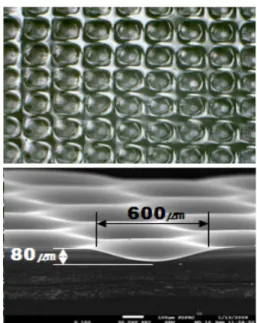 Figure 6. SEM image of a-Si:H thin film solar cell using spherical patterned glass.