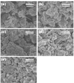 Figure 2. Surface SEM images of Y 1-x PO 4 :Eu x 3+