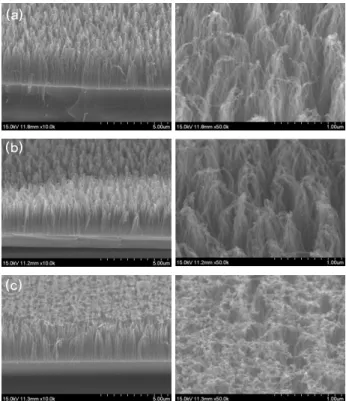Figure 4. SEM images showing CNTs coated with (a)  5 nm thick, (b) 10 nm thick, and (c) 30 nm  thick Ti layers, respectively