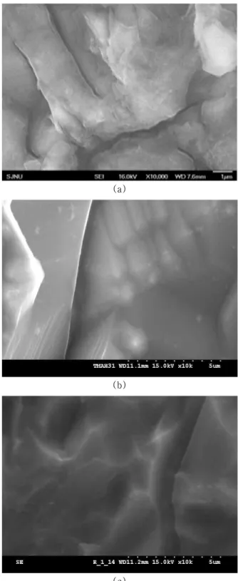 Figure 3. Surface  SEM  images  of  the  blasted  sample  with  DRE  processes(10  μm  /  200  kPa)