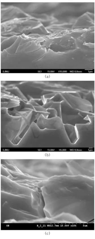 Figure 5. Cross-sectional  SEM  images  of  the  blasted  sample with DRE processes (10 μm, 200 kPa)