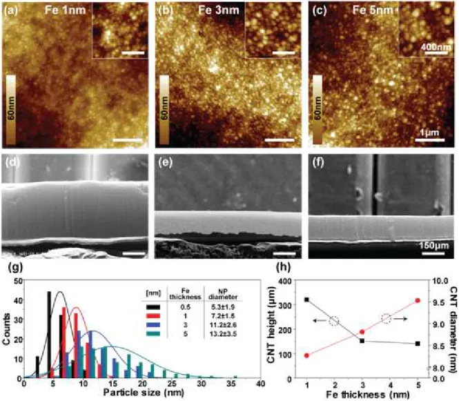 Figure 4. (a)∼(c) AFM images showing catalytic nanoparticles and (d)∼(f) cross sectional SEM images of vertically  grown CNTs from different thicknesses of Fe film