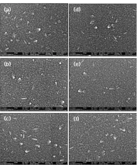 Figure 4. Cross-sectional STEM image of the films with  ITO  annealed  at  different  temperatures