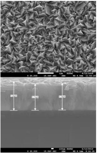 Figure 4. Surface  SEM  image  of  BZO  thin  films  treated  at  non-O 2   plasma  or  O 2   plasma  treatment.
