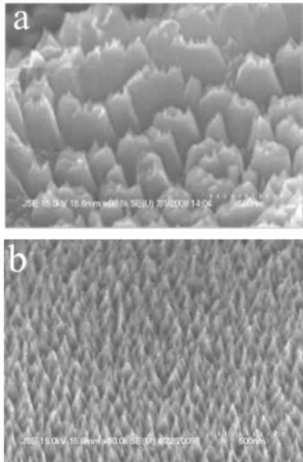 Figure 6. The surface texturing shape of texturing of  wafers using 13.56 MHz (a) and 2 MHz (b)  RF frequency.