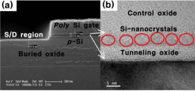 Figure 1. (a) Cross-sectional SEM view of the SBTT- SBTT-NFGM  device  after  gate-pattern  etching,  (b) TEM image of the Si-nanocrystals in the gate stack.