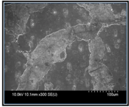 Fig.  8.  Electrical  result  of  the  samples에서 누설전류밀도 측정 결과 reference샘플에 비해 손상 후 누설전류량이 증가한 것을 확인할 수 있었다