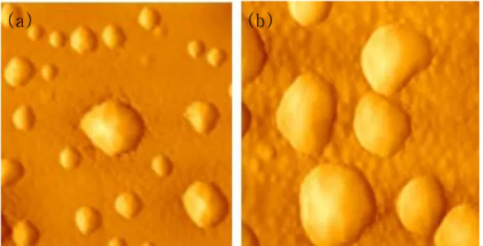 Fig  6.  AFM  images  obtained  from  the  scan  of  other  regions  of  the  samples  in  Fig
