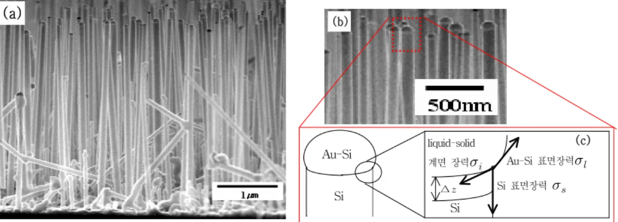 Fig. 1. (a) Cross-section SEM image of Si-NW grown on a Si (111) substrate for 60 minutes at 55 0℃  and  1.0  Torr  with  a  mixed  gases  of  SiH 4   (4  sccm)  and  H 2   (50  sccm)