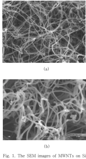 Fig.  1.  The  SEM  images  of  MWNTs  on  Si  substrate;  (a)  sample  A  and  (b)  sample  B용된 기판의 면적은 18 mm × 20 mm이고 비저항이 1~20 Ω㎝인 P-type 의 실리콘 기판을 완충산화식각용액을 이용하여 산화막을 제거한 후, 시료 가운데 8 mm × 8 mm 크기로  패턴을  형성하였다