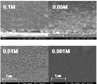 Fig.  7.  Surface  images  of  ZnO  film  etched  with  oxalic  acid  under  various  concentrations.