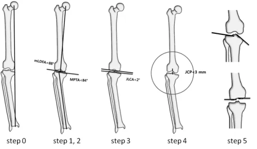 Fig. 6. The mal-alignment test is to iden- iden-tify the sources of mechanical axis  devia-tion