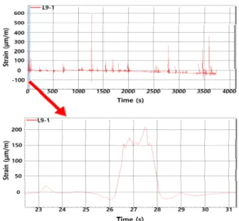 Fig.  4  Area  instrumented  by  strain  gauges  in  the  IBRV  ARAON(modified from  Lee et  al.,  2014)
