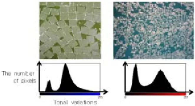 Fig.  2  Histograms  of  original  image  (top),  ice  image  (middle),  and  water  image  (bottom) 
