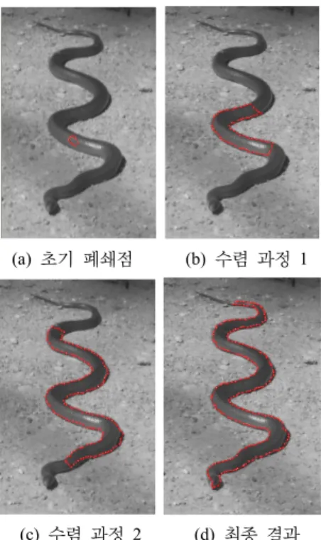 그림 7은 뱀이 기어가는 모습을 찍은 이미지로 곡선  형태의 복잡한 영역을 차지하고 있다.  그림 7의 (a)에서  볼 수 있듯이 초기 폐쇄 점은 작은 영역만을 차지고 하고  있다
