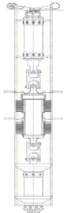 Fig.  1  Procedure  of  fitness  for  service  (FFS) Table  1  General  information  of  target  pipeline