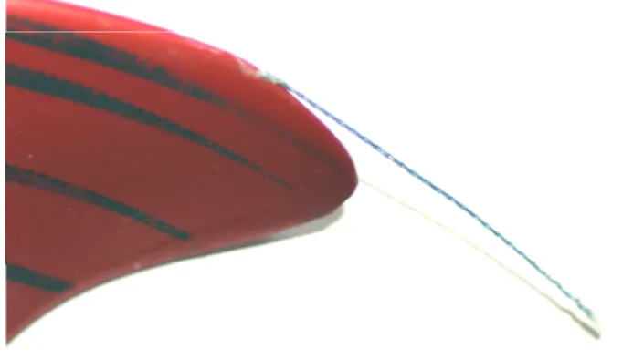 Fig.  4  A  propeller  blade  and  the  dyneema  thread  fixed  at  its  tip