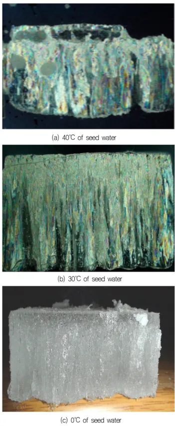 Fig.  3  Crystal  structure  of  model  ices  grown  by  different  temperature  of  seed  water.