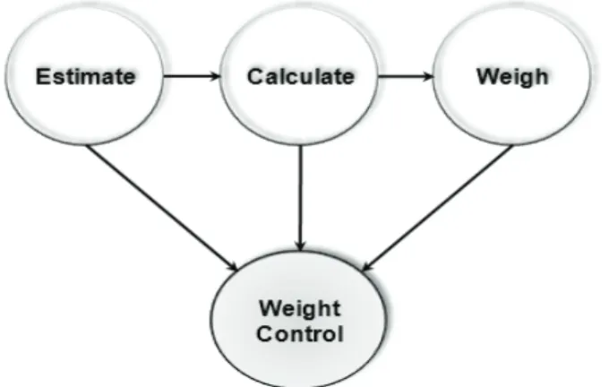 Fig.  3  High  level  weight  engineering  process
