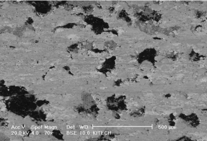 Fig  19  Friction  surface  of  F.M-3 Fig  20  Friction  surface  of  F.M-43-6  마찰면  및  마모분  분석