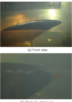 Fig. 10 Details of cavitation phenomena at blade  angle 75°  and cavitation number at 0.95R 