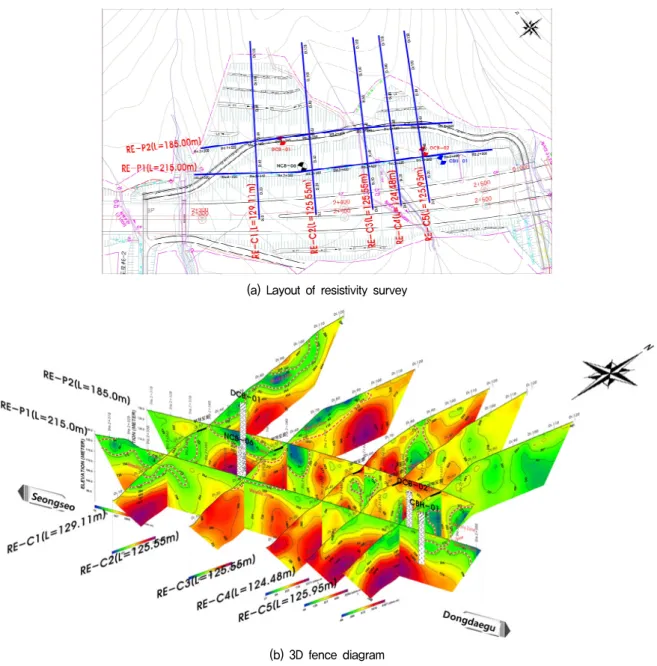 Fig.  10.  Results  and  layout  of  resistivity  survey