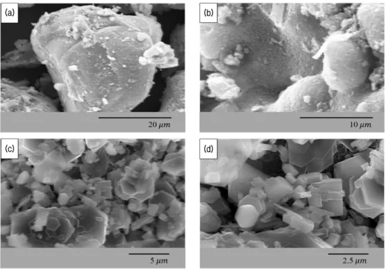 Fig. 5. Observed Microstructures by SEM: MgO ((a) and (b)); Mg(OH) 2  ((c) and (d))