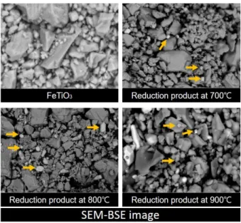 Fig. 6. Effect of reaction temperature on weight loss (%) Fig. 7. SEM-BSE images of ilmenite and reduced ilmenite at different temperatures