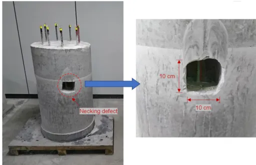 Fig. 4. Model pile
