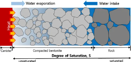 Fig. 3. Unsaturation/saturation process in compacted bentonite