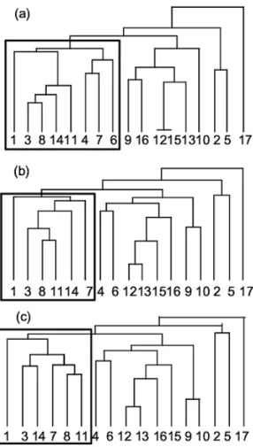 Fig. 6. Hierarchical structure between functional classes based on Eq. (9). (a) ρ = 0.4, (b) ρ = 0.5, (c) ρ = 0.6.