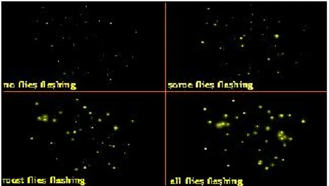 그림  2.  동시에  반짝거리는  수천마리의  반딧불이들  [출처:  S.  H.  Strogatz  et  al .,  Sci.  Am.  Dec.  102  (1993)].
