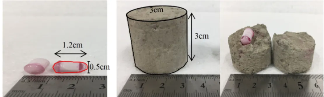Fig. 8. Capsule and remolded specimen