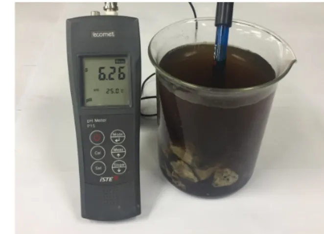 Fig. 3. pH testing for RSB