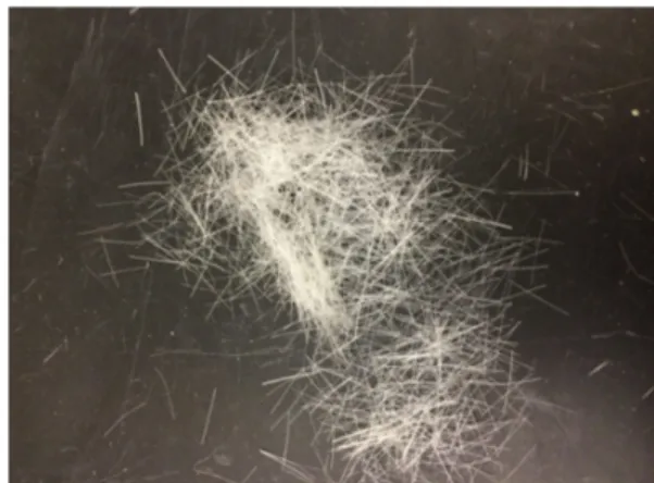 Fig. 1. PVA Fiber