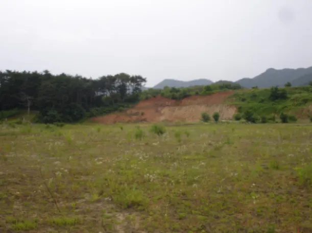 Fig. 1. Panoramic view of the soil sampling site