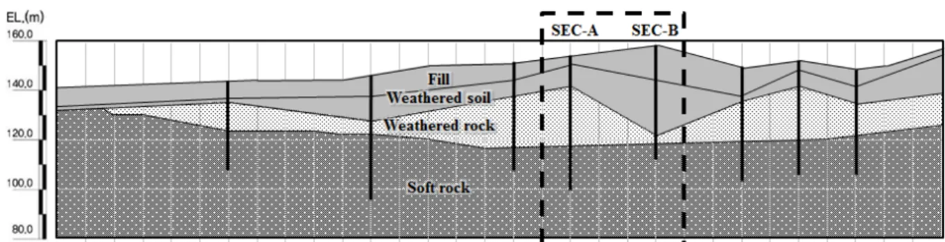 Fig. 2. Longitudinal section