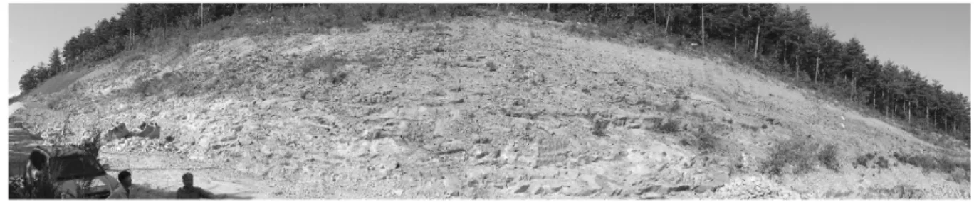 Fig.  4.  The  condition  of  the  slope  of  interest