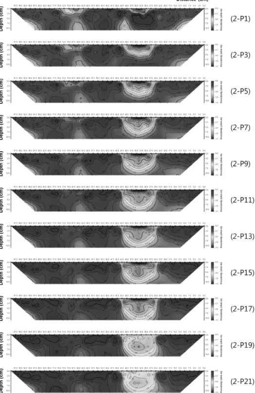 Fig.  10.  Electrical  resistivity  distribution  of  model  ground  with  respect  to  saline  water  injection  (10  g)