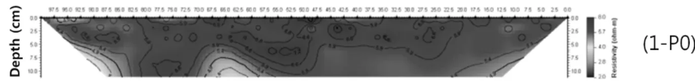 Fig.  6.  Resistivity  image  of  ground  model  just  before  saline  water  injection면 정중앙에 위치하게 된다