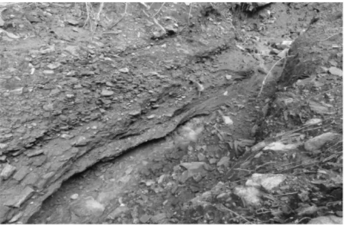 Fig.  1.  Debris  flow  occurrence  in  Seoul  (KGS  Report,  2012)1.  서  론연약지반 개량 시 상부에 모래층을 포설하거나 모래다짐말뚝을 시공할 경우 점토에 모래가 관입되거나 섞이면서 혼합층이 형성된다(Tan et al., 1994)