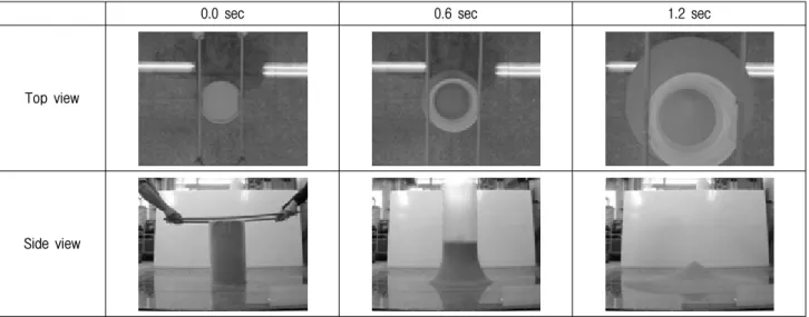 Fig.  7.  Result  of  sand  column  failure  test