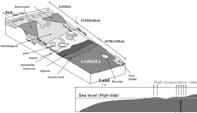 Fig.  1.  Location  of  Sabkha  area  and  Sabkha  formation  process