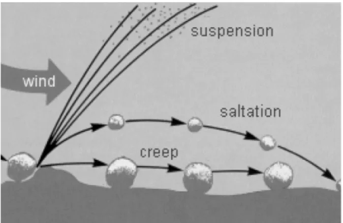 Fig. 11. Different manner  of particle movements depending  on  weight  of  particle