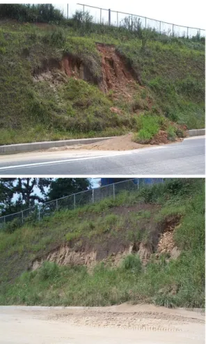 Table  1.  Physical  and  mechanical  properties  of  native  and  reinforced  soils