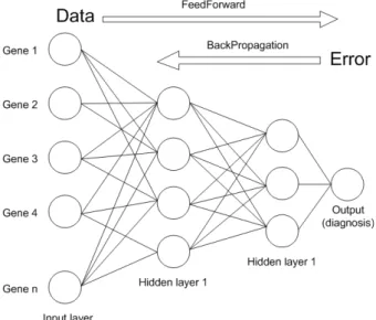 Fig.  1.  ANN  Model  (Kim  등,  2006)이 있다.KEC(2004)의 평가법의 경우 사면의 붕괴 위험도를 감소시키는 항목(안정인자)들에 대해서는 (-)점수를 부여하도록 하였으며,  최대 비중을 차지하는 항목은 불연속면과 관련된 항목으로 전체평가 비중의 43.32%를 차지한다